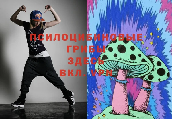 спайс Гусиноозёрск