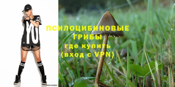 спайс Гусиноозёрск